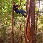 Photo taken by Dennis H