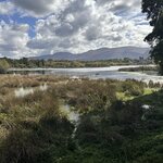 Photo taken by Ellen D