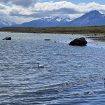 Photo taken by Rahul S