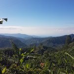 Photo taken by Anne T