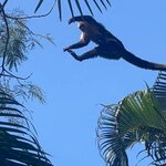 Photo taken by Darcy M