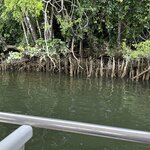 Photo taken by Amy W