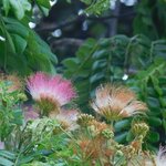 Photo taken by Brett F