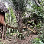 Photo taken by LaTasha J