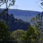 Photo taken by Linnaea M