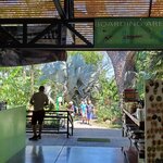 Photo taken by Garritt V