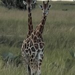 Photo taken by Michael L