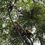 Photo taken by Breann B