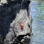 Photo taken by Lisa P