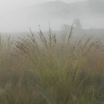 Photo taken by Linette B