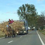 Photo taken by Bayard T