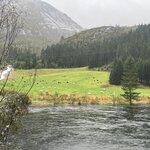 Photo taken by Leigh M