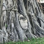 Photo taken by Shaula L