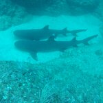 Photo taken by Sara W