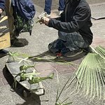 Photo taken by Graciela P