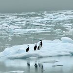 Photo taken by sam s