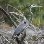 Photo taken by Graeme W