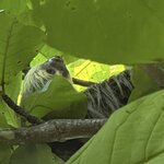 Photo taken by Cindy R