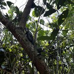 Photo taken by Kelly K