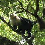 Photo taken by Joyce C