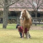 Photo taken by Graciela P