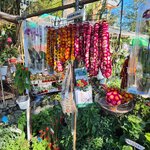 Photo taken by Vanessa W