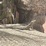 Photo taken by Hannah S