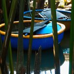 Photo taken by Brian C