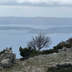 Photo taken by Maria M