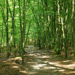 Photo taken by Eric T