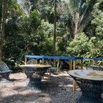 Photo taken by Joyce C