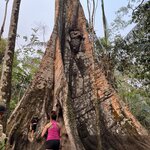 Photo taken by Tony F