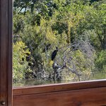 Photo taken by Christopher F