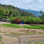 Photo taken by Natascia V