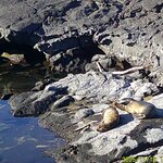 Photo taken by Richard P