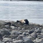 Photo taken by Jennifer R