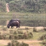 Photo taken by Jean A