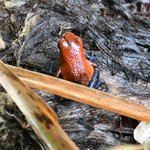 Photo taken by Graeme W