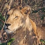 Photo taken by rhonda c