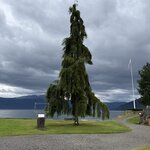 Photo taken by Lara N