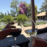 Photo taken by Rebecca E