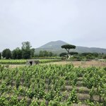 Photo taken by Jill B