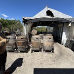 Photo taken by Sharon P