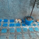 Photo taken by James P