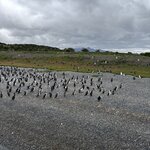 Photo taken by Debbie F