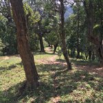 Steep at times but no rush.  | Photo taken by Rachael W