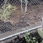 Photo taken by Mylinda D