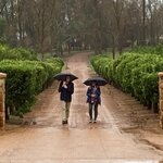 Photo taken by Tom B