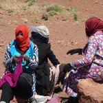 null | Photo taken by Wayne P