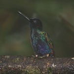 Photo taken by Marcia G